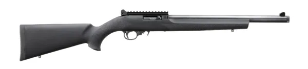 RUGER 10/22 CARBINE 22LR BL/HOGUE
