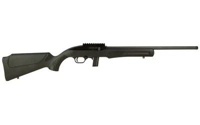 ROSSI RS22 22LR 18" 10RD TB - Image 2